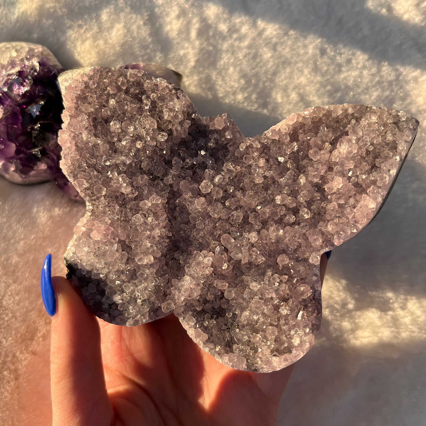 Amethyst Schmetterling
