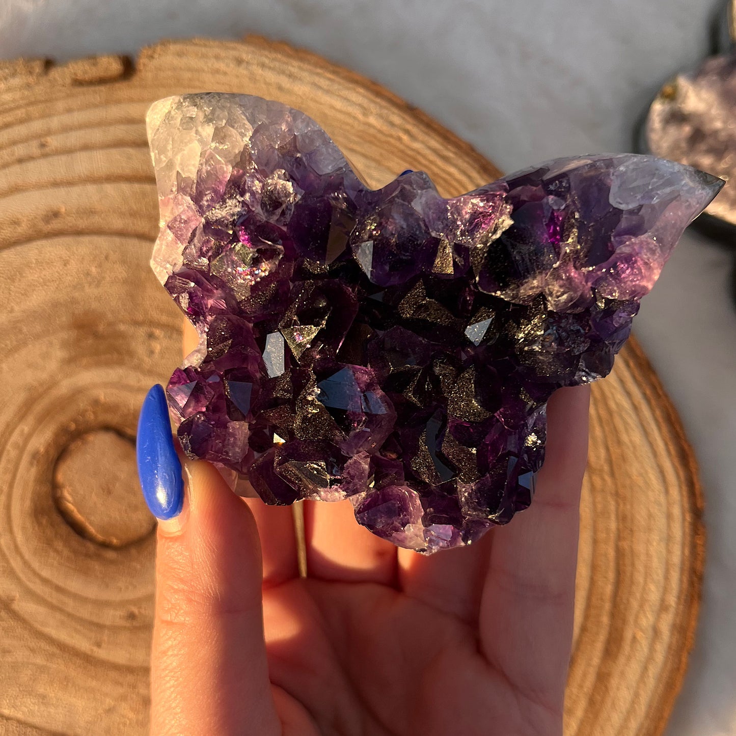 Amethyst Schmetterling