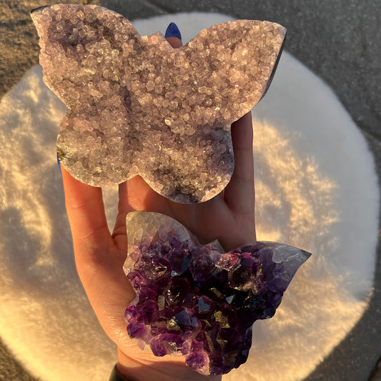 Amethyst Schmetterling