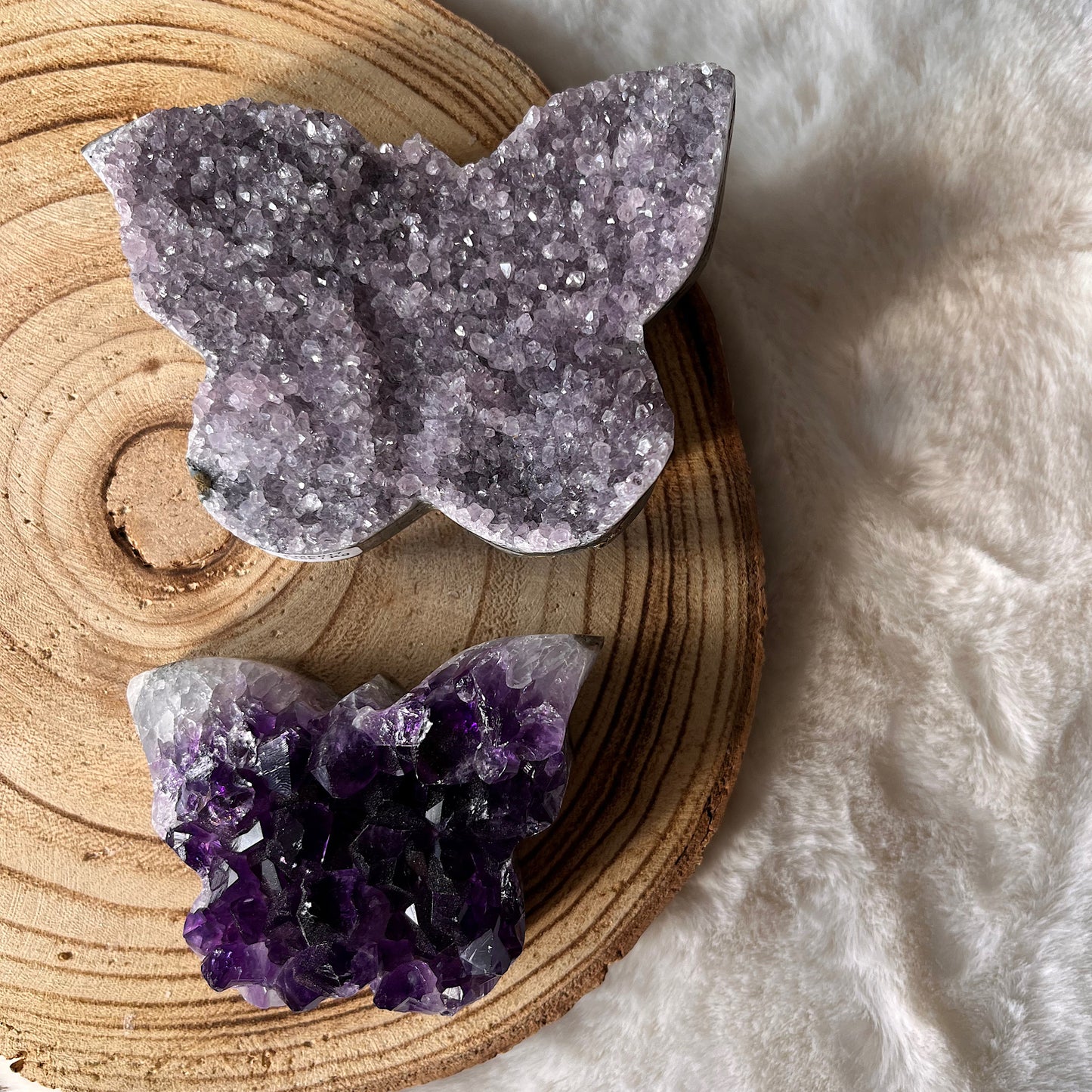 Amethyst Schmetterling