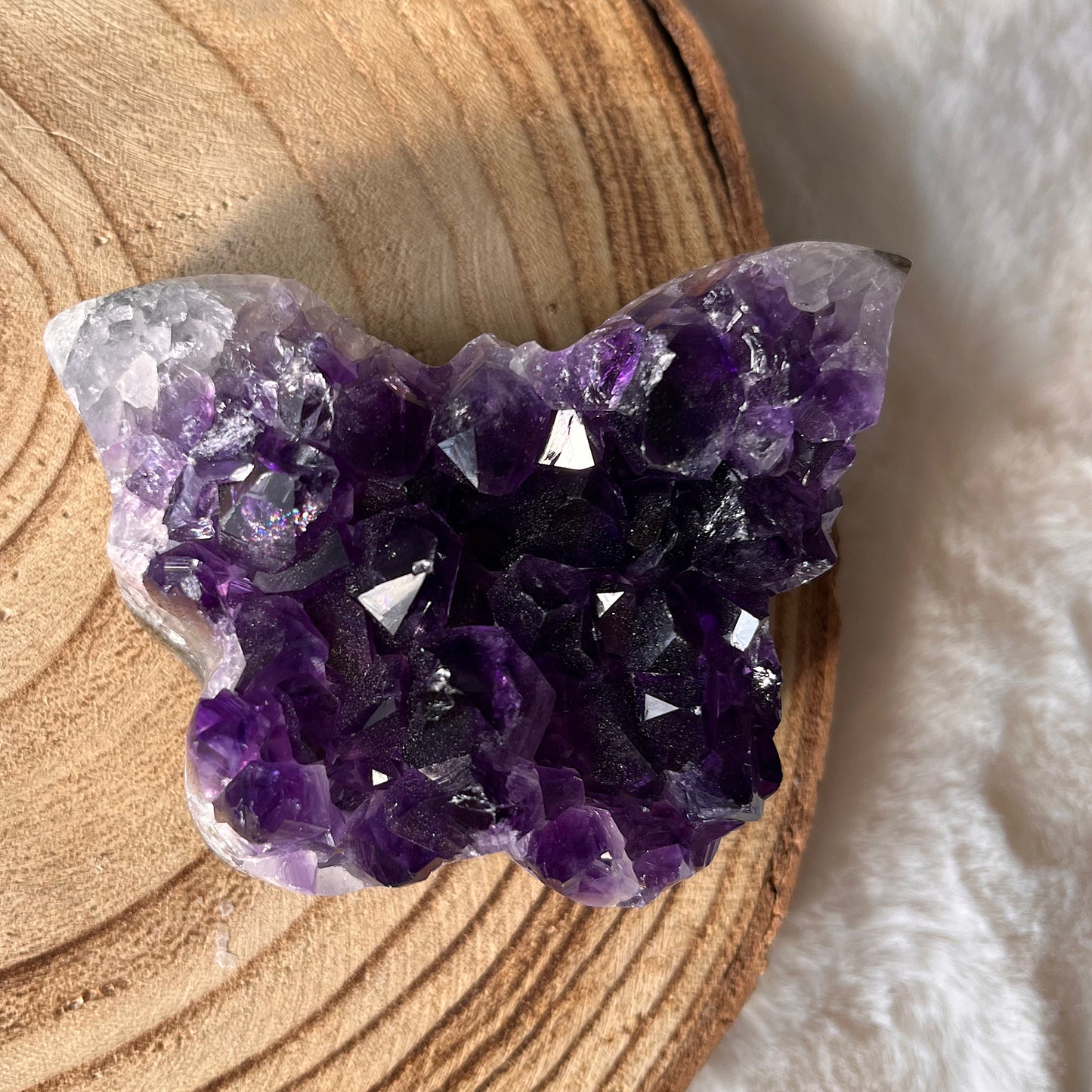 Amethyst Schmetterling