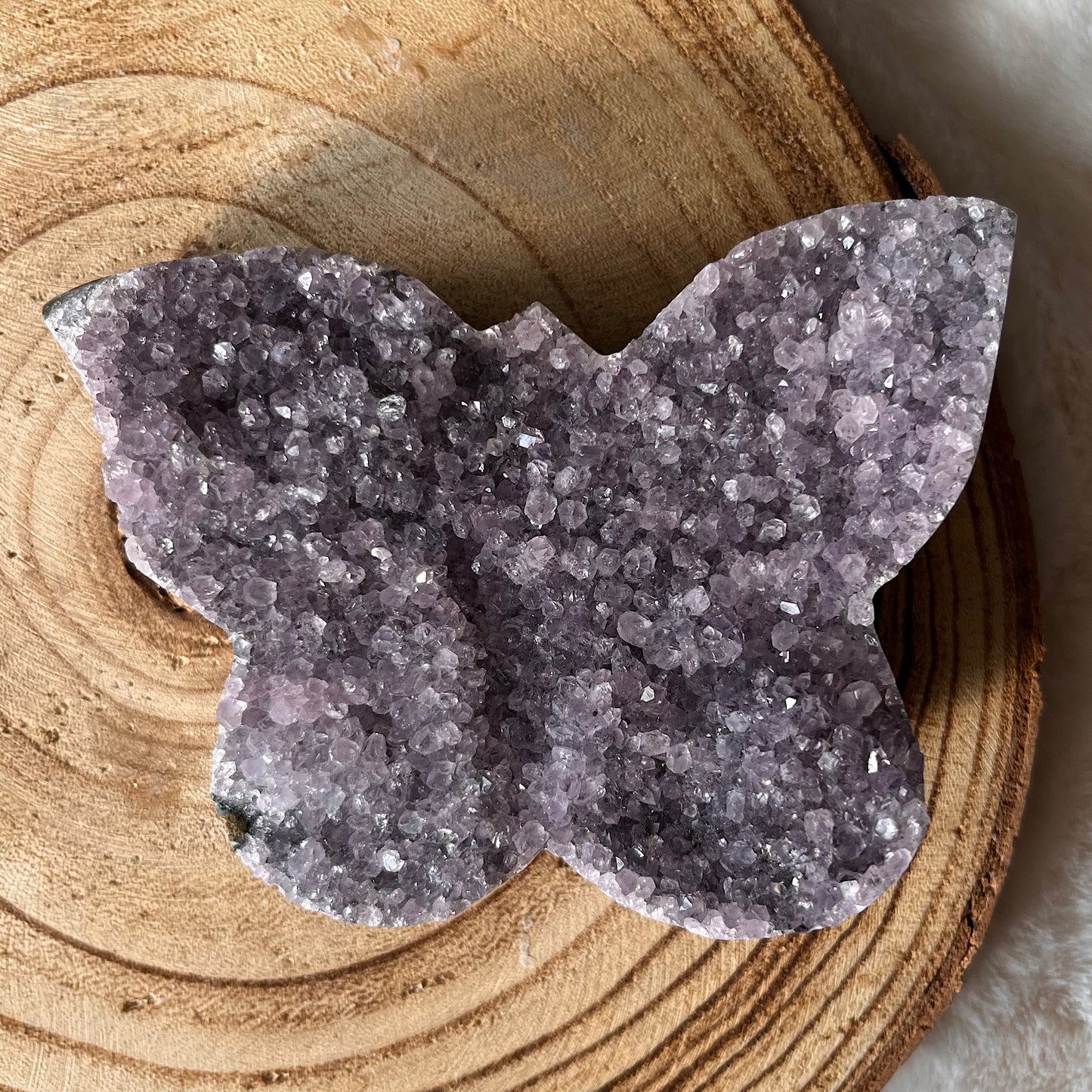 Amethyst Schmetterling